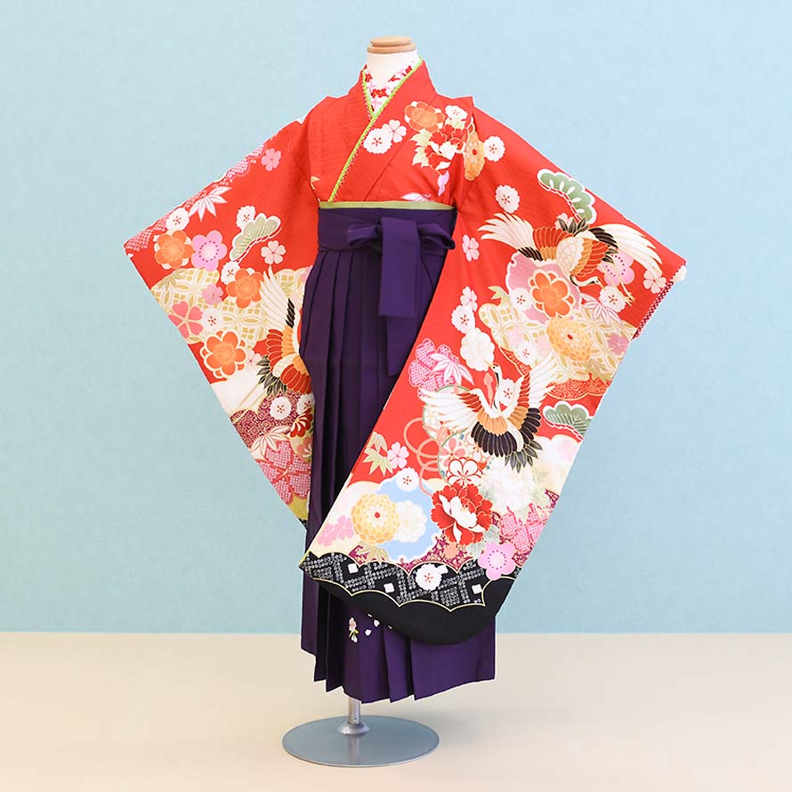 【卒園卒式＆はいり込む式特集】御姉さんお召しもの賃借