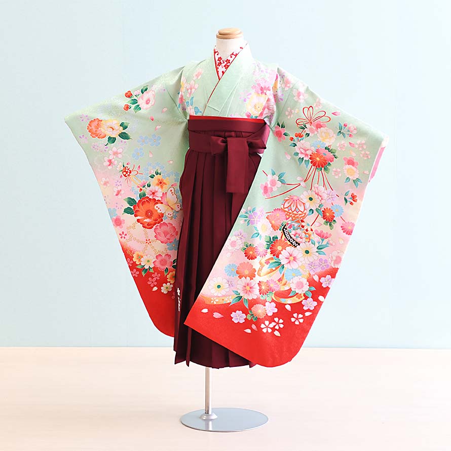 【卒園卒式＆はいり込む式特集】御姉さんお召しもの賃借