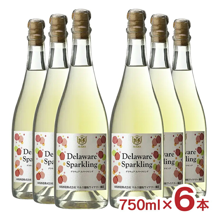 【5のつく日はポイント5倍】ワイン 甲州 デラウェア スパークリング 750ml 6本 本坊酒造 スパークリングワイン 山梨県産 国産ワイン