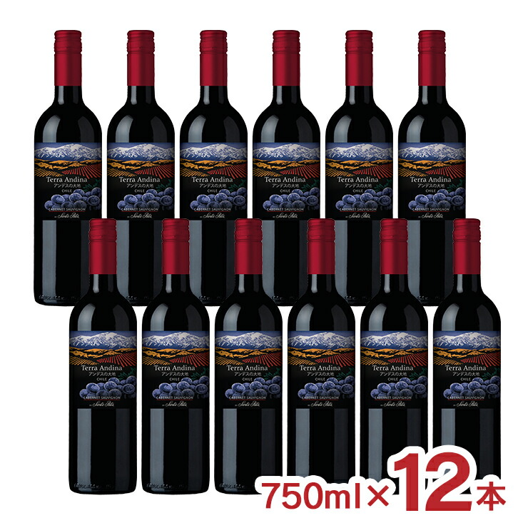 赤ワイン サンタリタ・エステーツ テラ・アンディーナ アンデスの大地 カベルネ・ソーヴィニヨン 750ml 12本 チリ ミディアムボディ フルーティ ビーフシチュー 送料無料