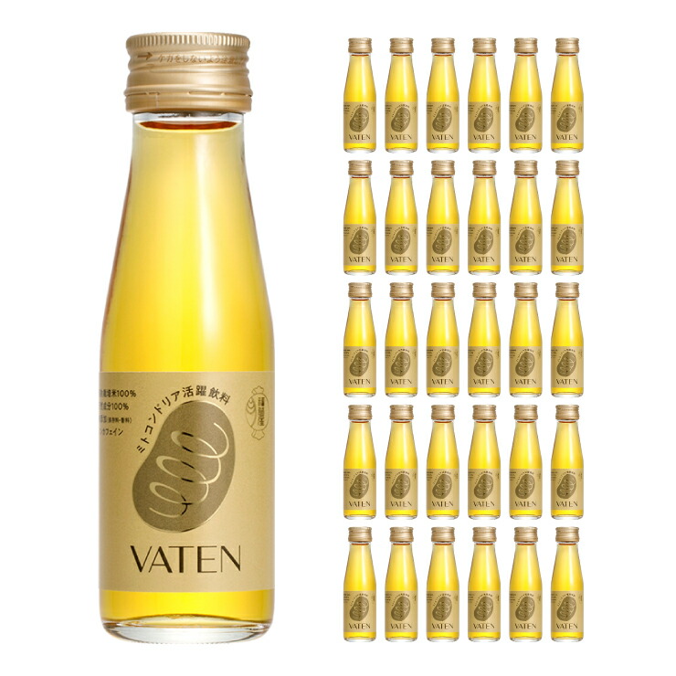 楽天市場】エナジー ドリンク 福光屋 VATEN バテン 100ml × 30本 (1 