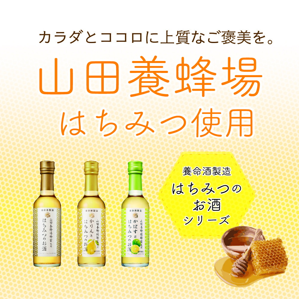 ファッション 送料無料 養命酒 はちみつのお酒 250ml×12本 1ケース 取り寄せ品 fucoa.cl