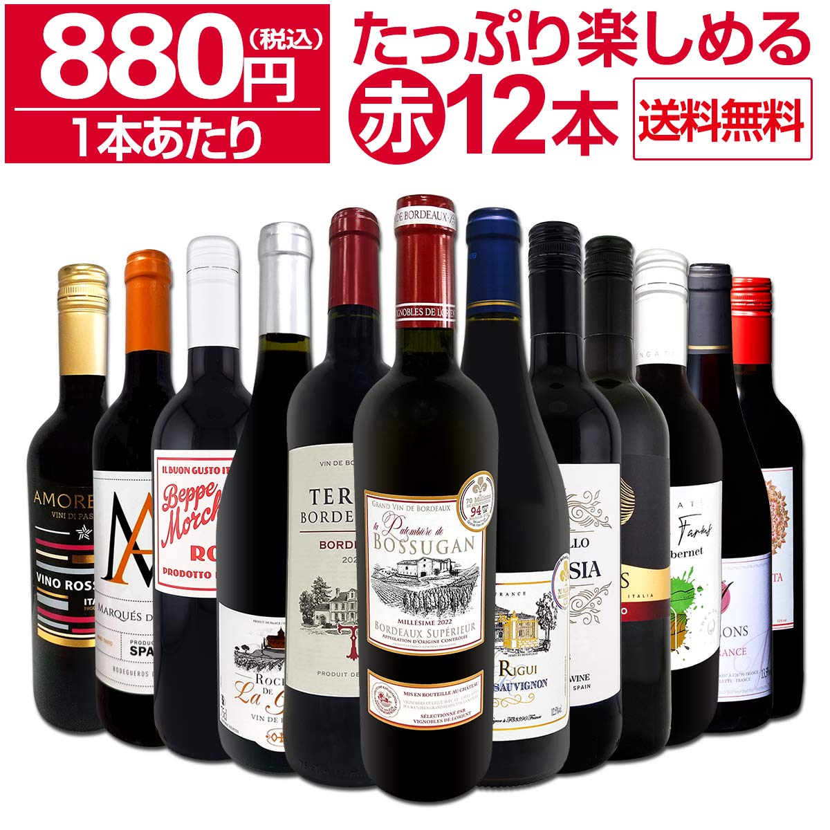 【送料無料】第95弾!1本あたり880円(税込)!!採算度外視の大感謝!厳選赤ワイン12本セット 12本で10,560円(税込) たっぷり 大容量 ウルトラバリュー 毎日飲める 飲み比べ セット販売 まとめ買い 家飲み パーティー ボリュームセット コスパ お買い得 お値打ち｜東京ワインガーデン
