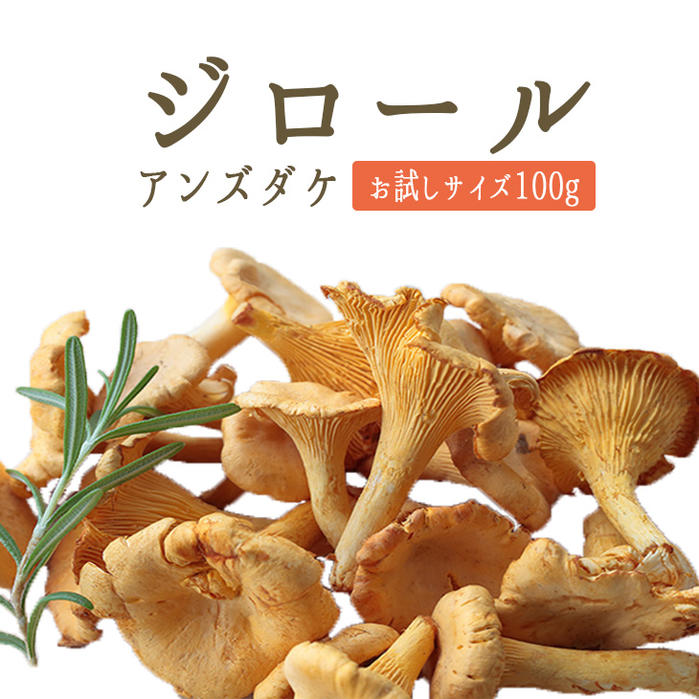 楽天市場 ジロール ジロール茸 アンズダケ アンズ茸 フレッシュ Girolles ヨーロッパ産 250g 冷蔵品 東京468食材