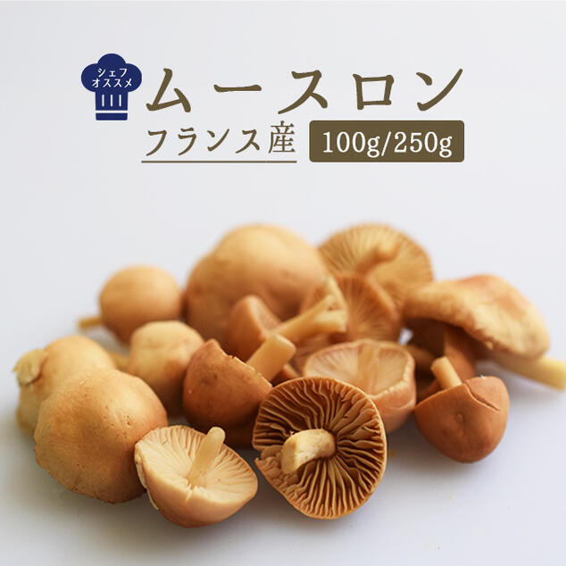 楽天市場】フレッシュ モリーユ モリーユ茸 （アミガサ茸