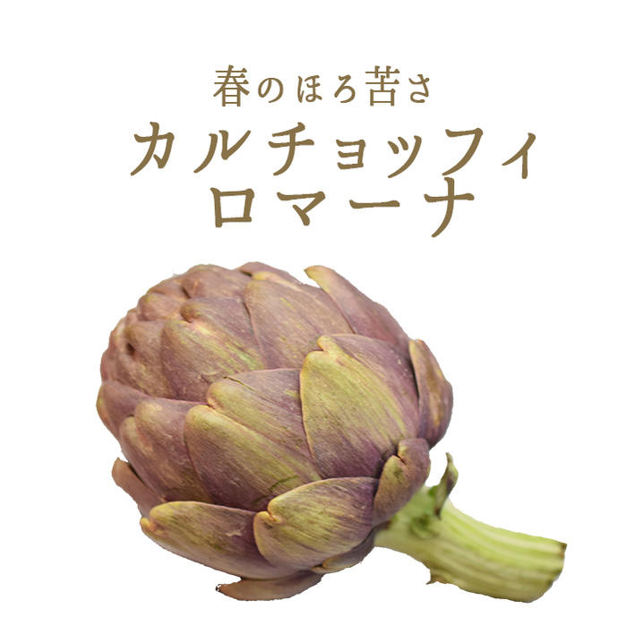 楽天市場 イタリア野菜 カルチョッフィ ロマーナ アーティーチョーク 1個 約300 350g 375 100g再計算 大きさは季節や天候によって前後する可能性がございます イタリア産 東京468食材