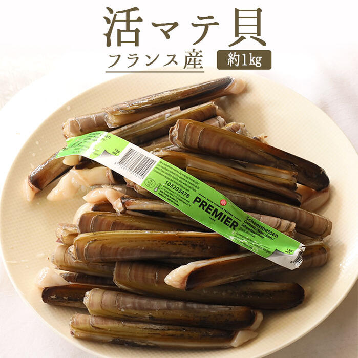 10/15 金 限定出荷 活 クトー マテ貝 フランス産 約1 40本程度 固体の 