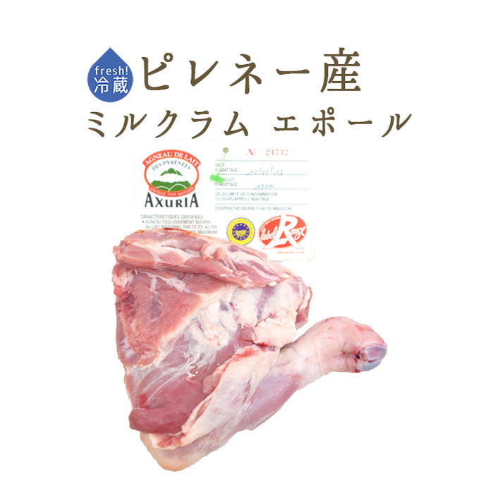 【フレッシュ 冷蔵】 ラム肉 乳飲み仔羊 肩肉 腕付き （骨付き） エポール ＜フランス ピレネー産＞ 【約0.5-0.9kg】