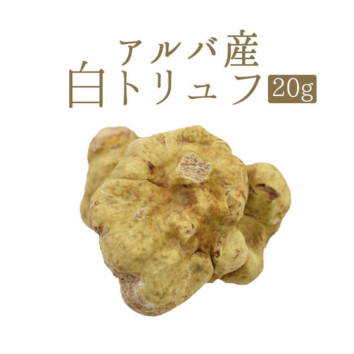 楽天市場】《あす楽》【冷凍】アンジェロッツィ 夏トリュフ （サマートリュフ）truffe トリュフ ＜イタリア＞【30g】 【冷凍品/冷蔵・常温商品との同梱不可】  : 東京468食材