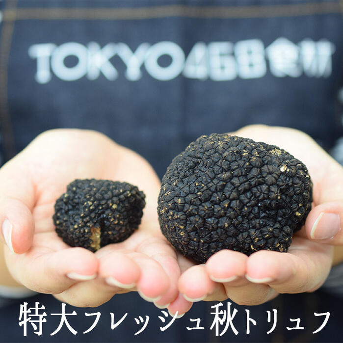 トリュフ Amazon.co.jp: ☆東京468食材 ジュド トリュフ トリュフジュース