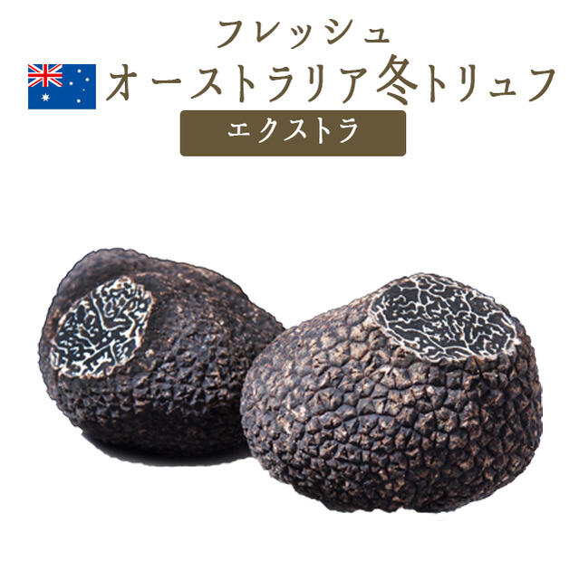【季節限定】フレッシュ 黒トリュフ 冬トリュフ エクストラ 【30g/50g/100g】 <オーストラリア産> 【冷蔵品】|東京468食材