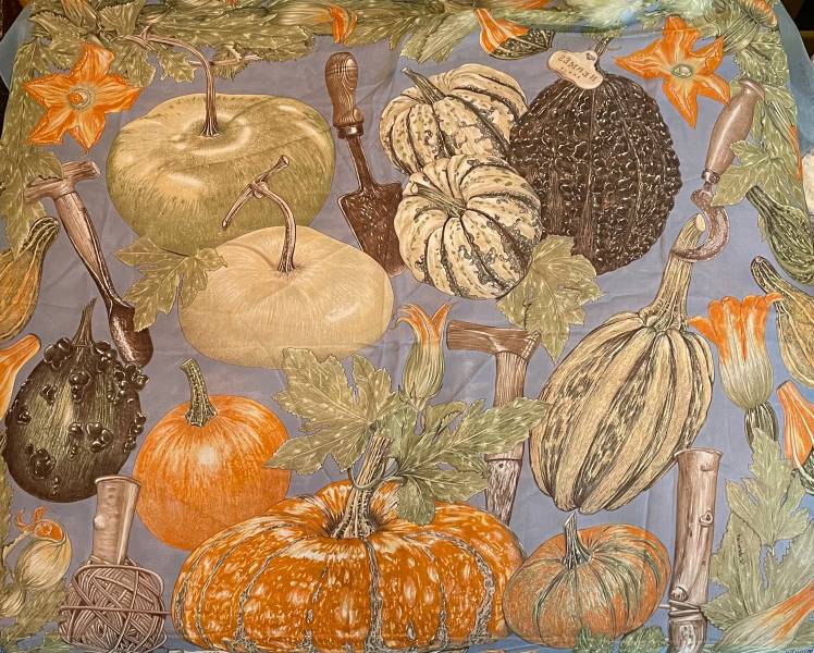 【中古】HERMES エルメス CITROUILLES ET COLOQUINTES 絹地 えり巻き【B08719】