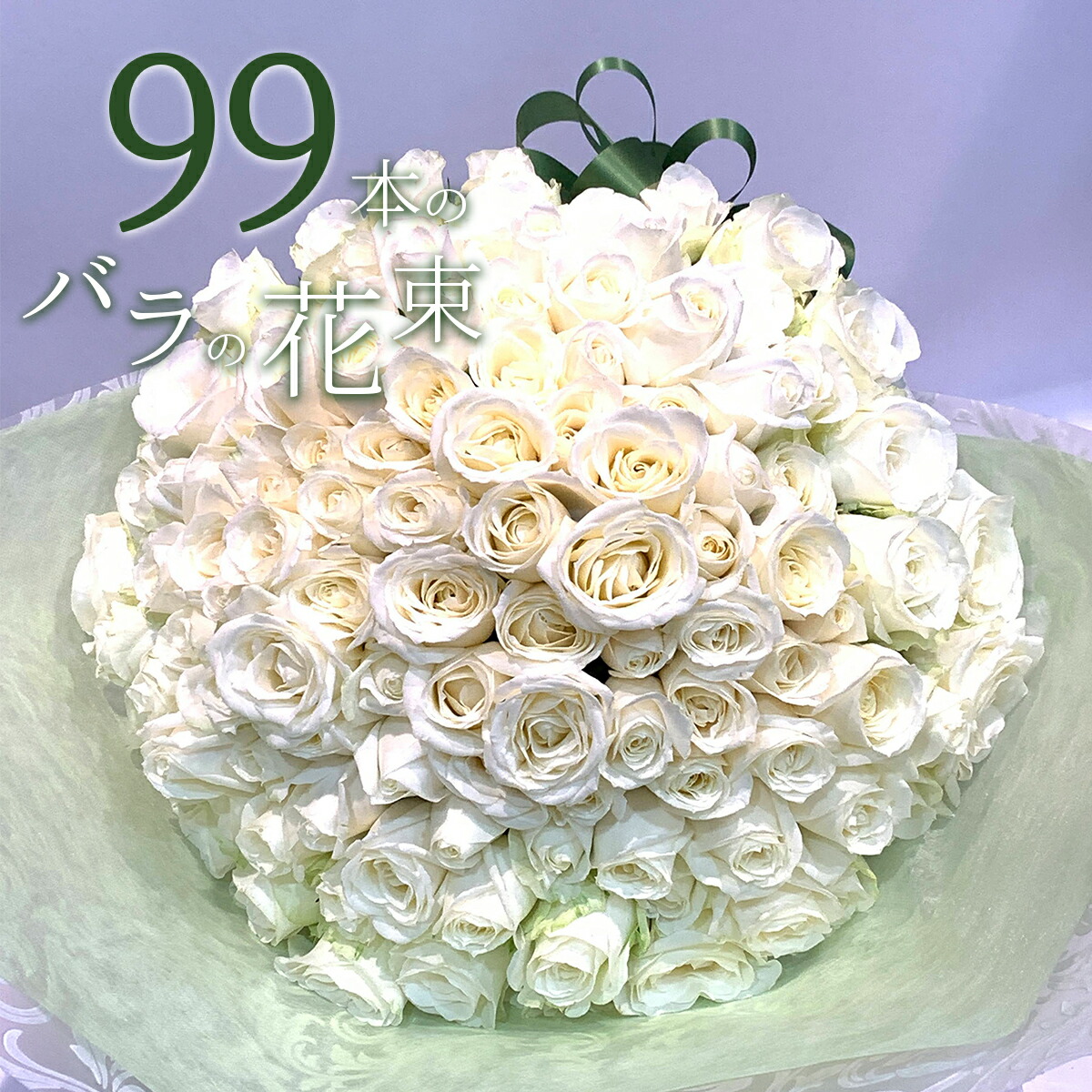 whiterose99_top.jpg