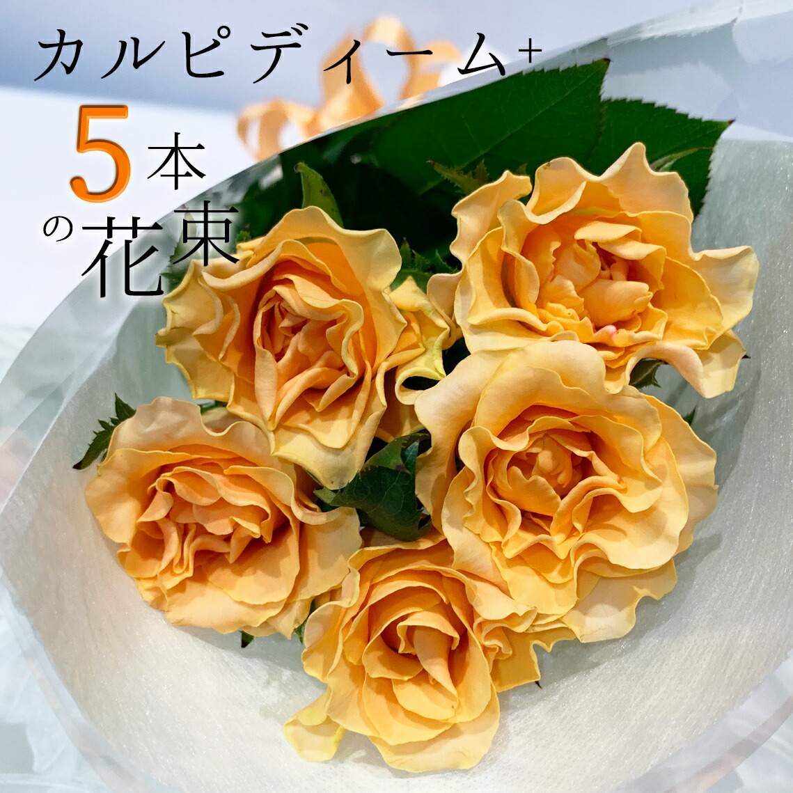 オレンジ バラ 5本の花束 カルピディーム+ ホワイトデー 母の日 送料無料 銀座の橙バラ 薔薇 ギフト 花 2026 花束 プレゼント 記念日 誕生日 お祝い 珍しい 豪華 生花 お祝 プロポーズ 結婚祝い 結婚 退職 長寿 金婚式 カルピデューム クール便選択可能