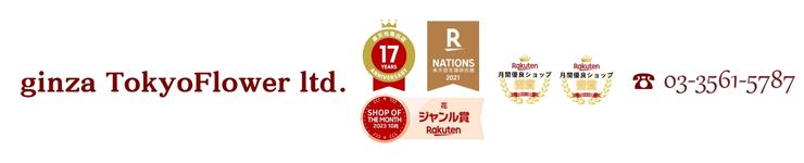 �֤ȥ��եȶ������ե����֥��塼�ԥåȲ���Ź �쥤��ܡ����������� �磻��Ȳ֥��ե�����̵��