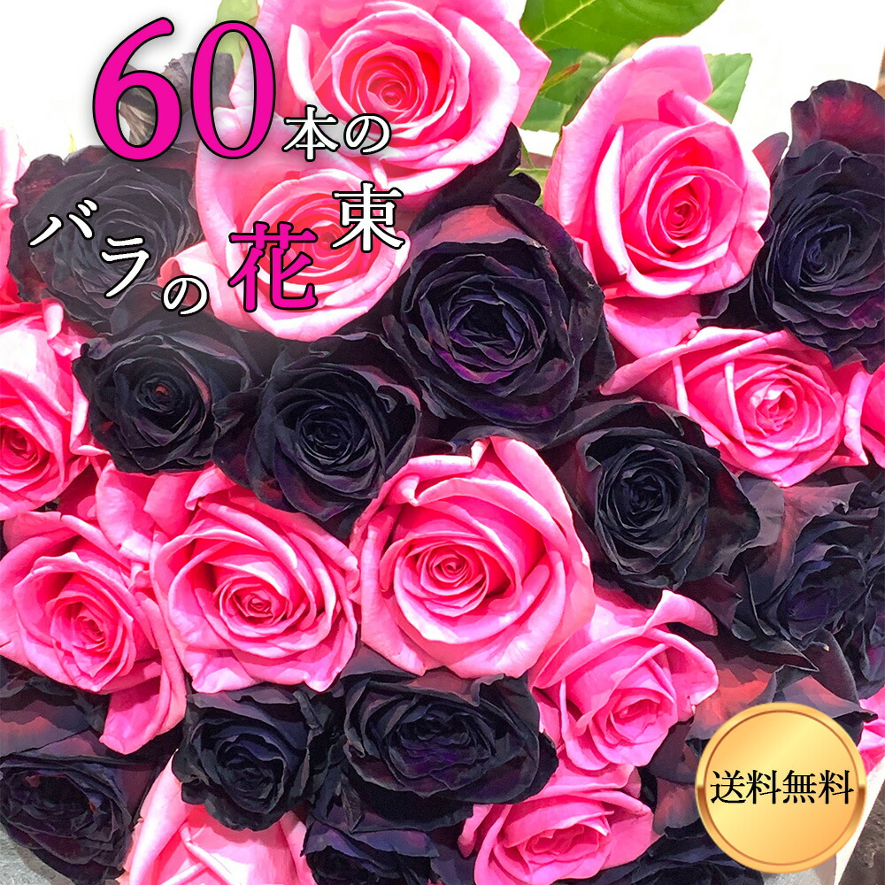 ブラック アンド ピンク バラ束 60本 バレンタイン 送料無料 花束 薔薇 プレゼント お祝い 記念日 ギフト プロポーズ 誕生日 退職 花 2026 【生花】 結婚祝い 結婚 長寿 金婚式 妻 奥さん 嫁 母 ママ 恋人 ヴィジュアル ライブ 楽屋花 コンサート 黒薔薇 クール便選択可能|花とギフト銀座東京フラワー