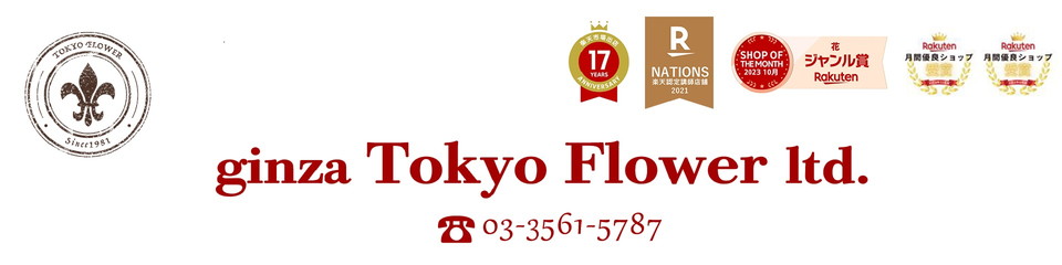 �֤ȥ��եȶ������ե����֥��塼�ԥåȲ���Ź �쥤��ܡ����������� �磻��Ȳ֥��ե�����̵��