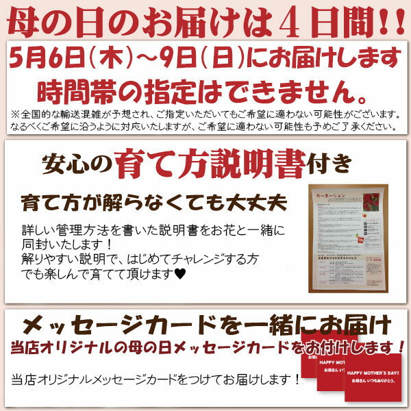 人気ブランドを 楽天市場 トリコロール胡蝶蘭 フラワーギフト 蘭 3本立 フラワーギフト 送料無料 お祝い 開店 御祝 お祝 上場祝 花 就任祝 贈答 母の日 早割 花とお酒とギフト銀座東京フラワー 時間指定不可 Www Lexusoman Com