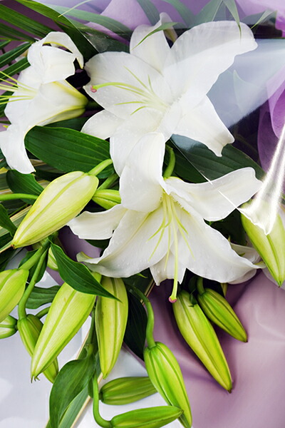 最大73 Offクーポン お供え あす楽13時まで 土日も出荷 生花 白