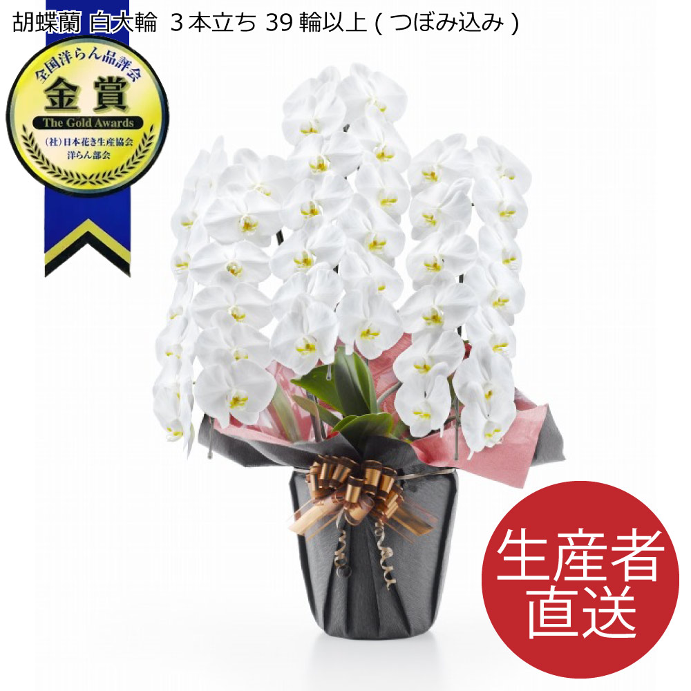 今使える！お得な引き換え証案内書