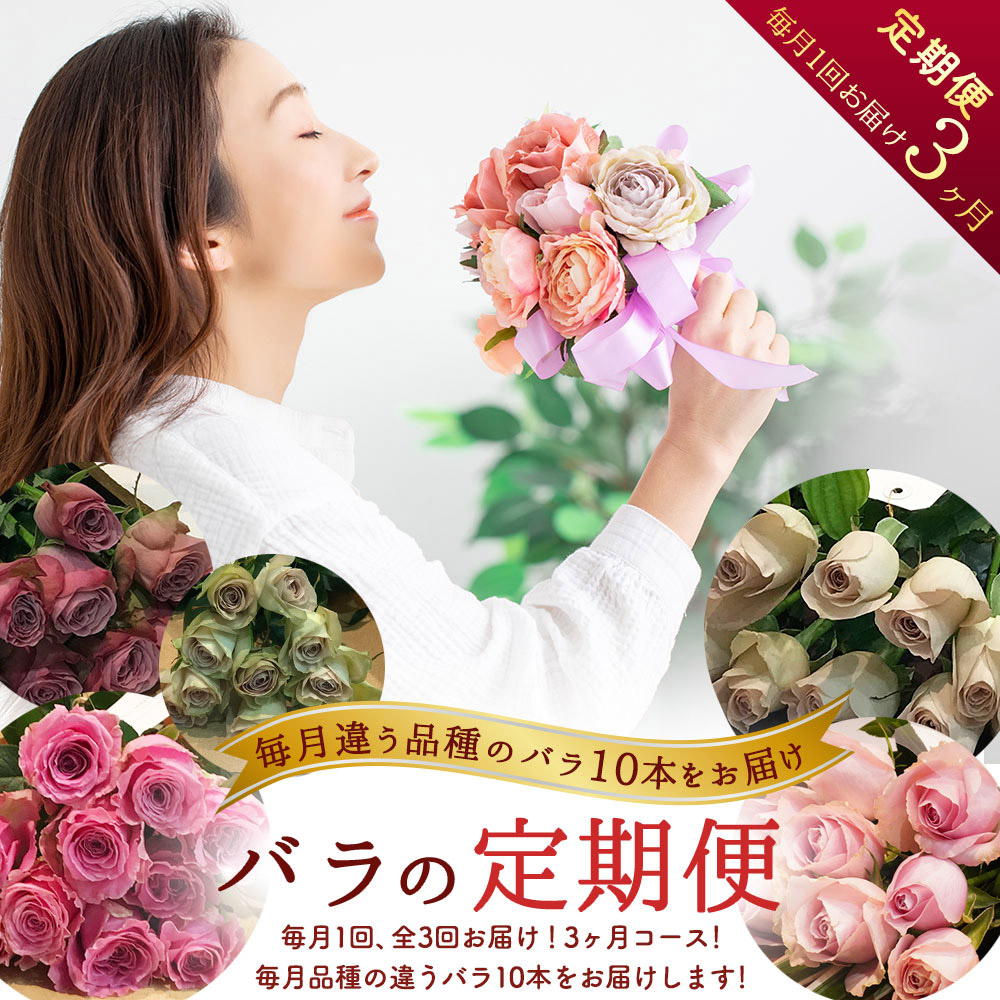 バラ生花 切り花 薔薇生花-