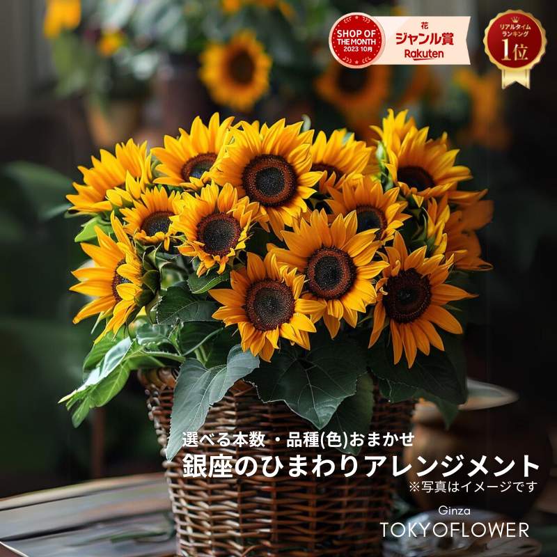 今使える！お得なクーポン券知らせ