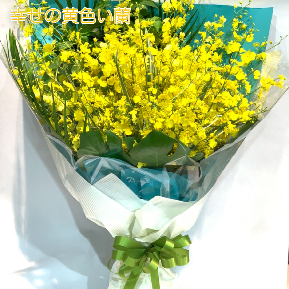 即納 最大半額 クール代込 華やかな黄色い蘭 オンシジウム 花束 本 オンシジューム L 送料無料 最短3日以内に出荷 サイズh70cm W60cm 誕生日 ブーケ プレゼント 結婚祝 生花 長寿 お祝い Www Tonna Com