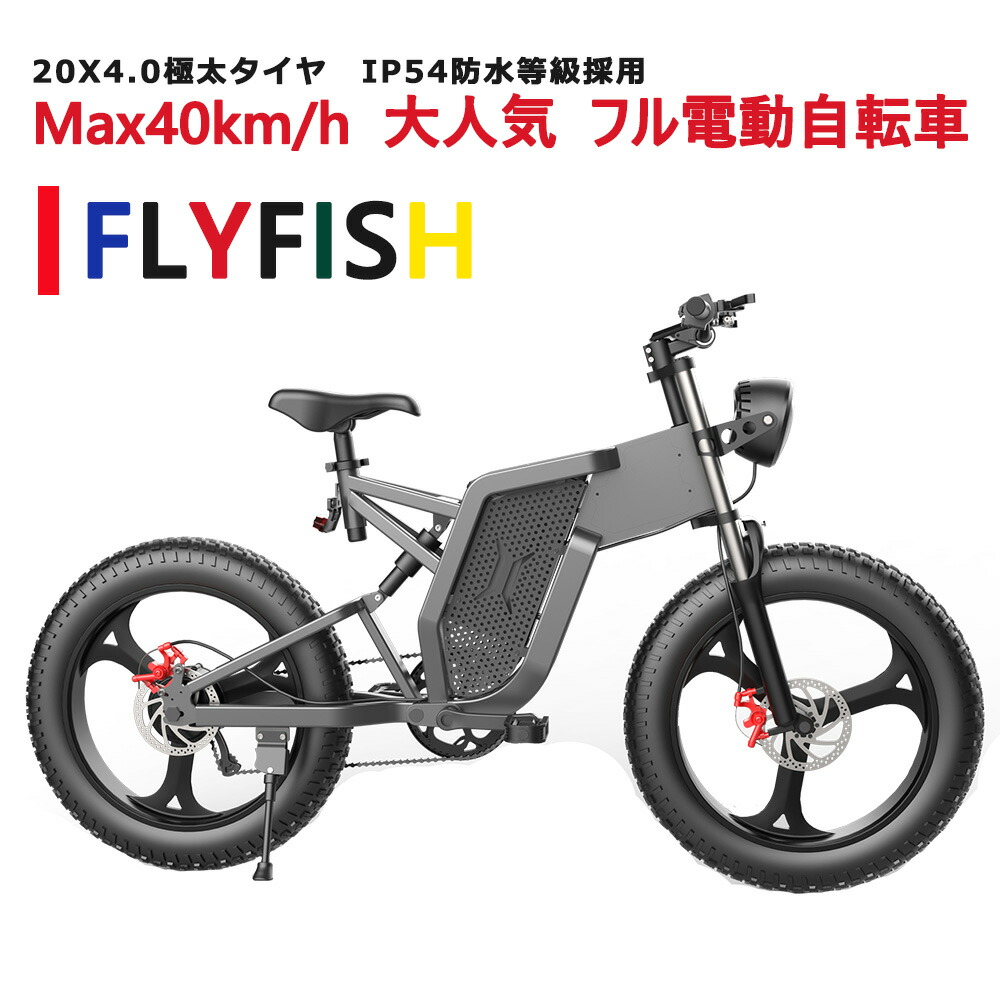 再再販！ スノーバイク ファットバイク 電動 20インチ アクセル付き フル電動自転車 マウンテンバイク クロスバイク 電動アシスト自転車  電動バイク極太タイヤ 雪道 砂道 ビーチ 山登りイベント パワフル走行 オススメ fucoa.cl