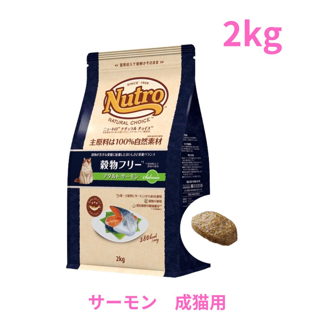 ニュートロキトン　チキン味　合計6キロ ナチュラル チョイス™ 室内猫用 キトン チキン [子猫用