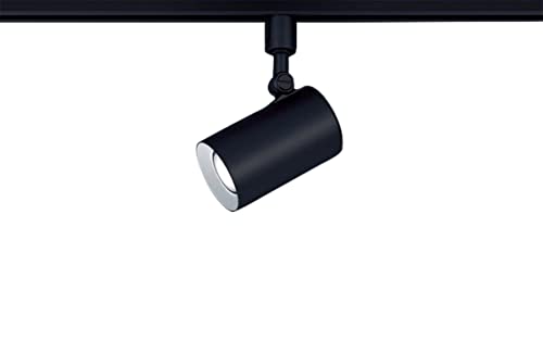 パナソニック(Panasonic) 注目の的 導線配管取り付き型 昼白いこと・行きわたる・100形 黒いこと LGS3501NLE1  貨物輸送無料