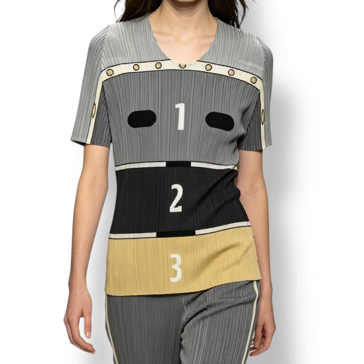 極美品 PLEATS PLEASE 筋目プリーズ ISSEY MIYAKE イッセイミヤケ 跳び箱 カットソー 大きさ3 マルチ色合い