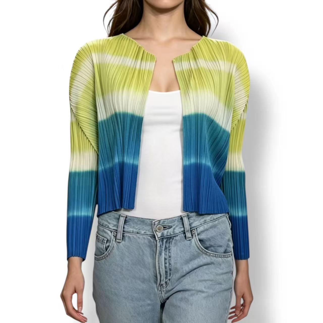極美品 ISSEY MIYAKE イッセイミヤケ PLEATS PLEASE 筋目プリーズ ジレー マルチ色つや 大きさ3