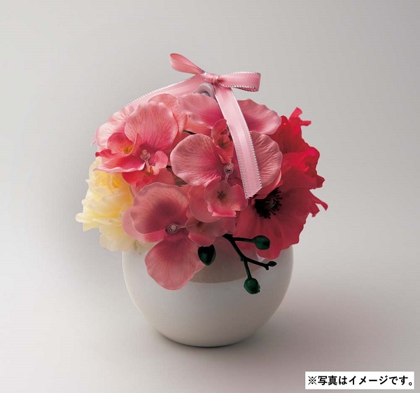 母の日 ギフト プレゼント H049 フレグランス胡蝶蘭(ピンク)