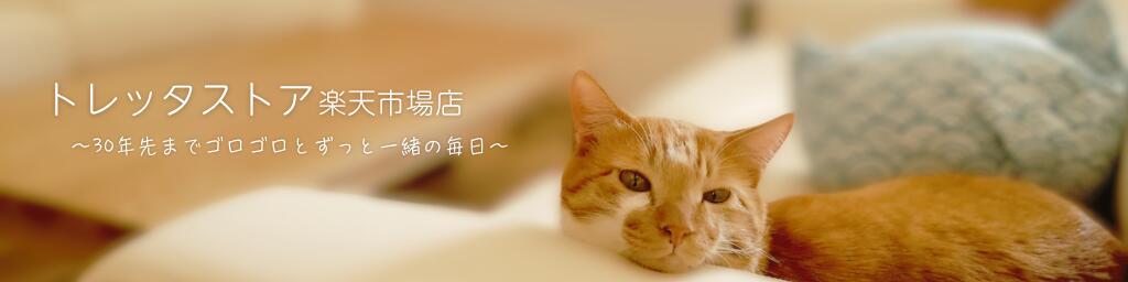 �ȥ�å����ȥ���ŷ�Ծ�Ź���ͤ��η򹯤򸫼�륫����ե��ޡ��ȥȥ�������䤷�Ƥ��ޤ�