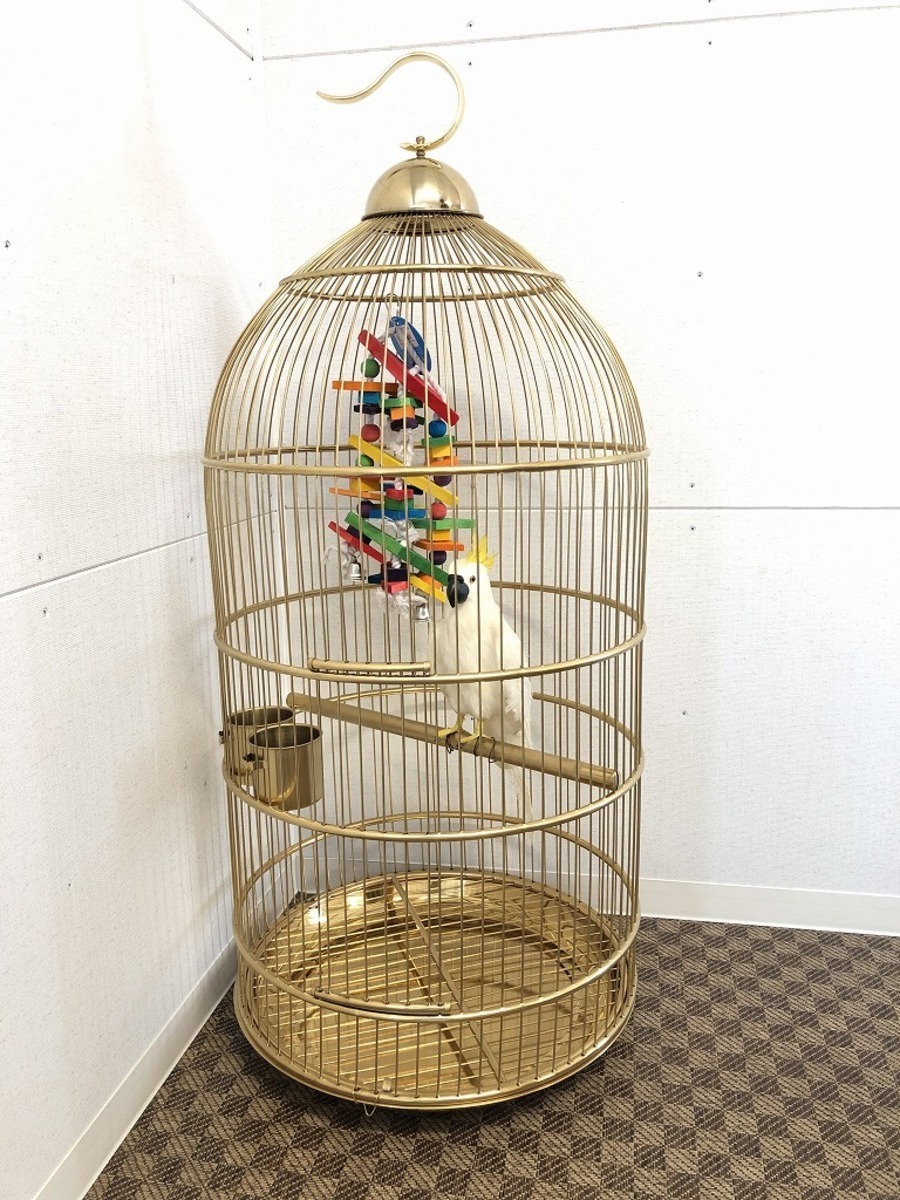 トムキャット ステンレス鋼 鳥カゴ