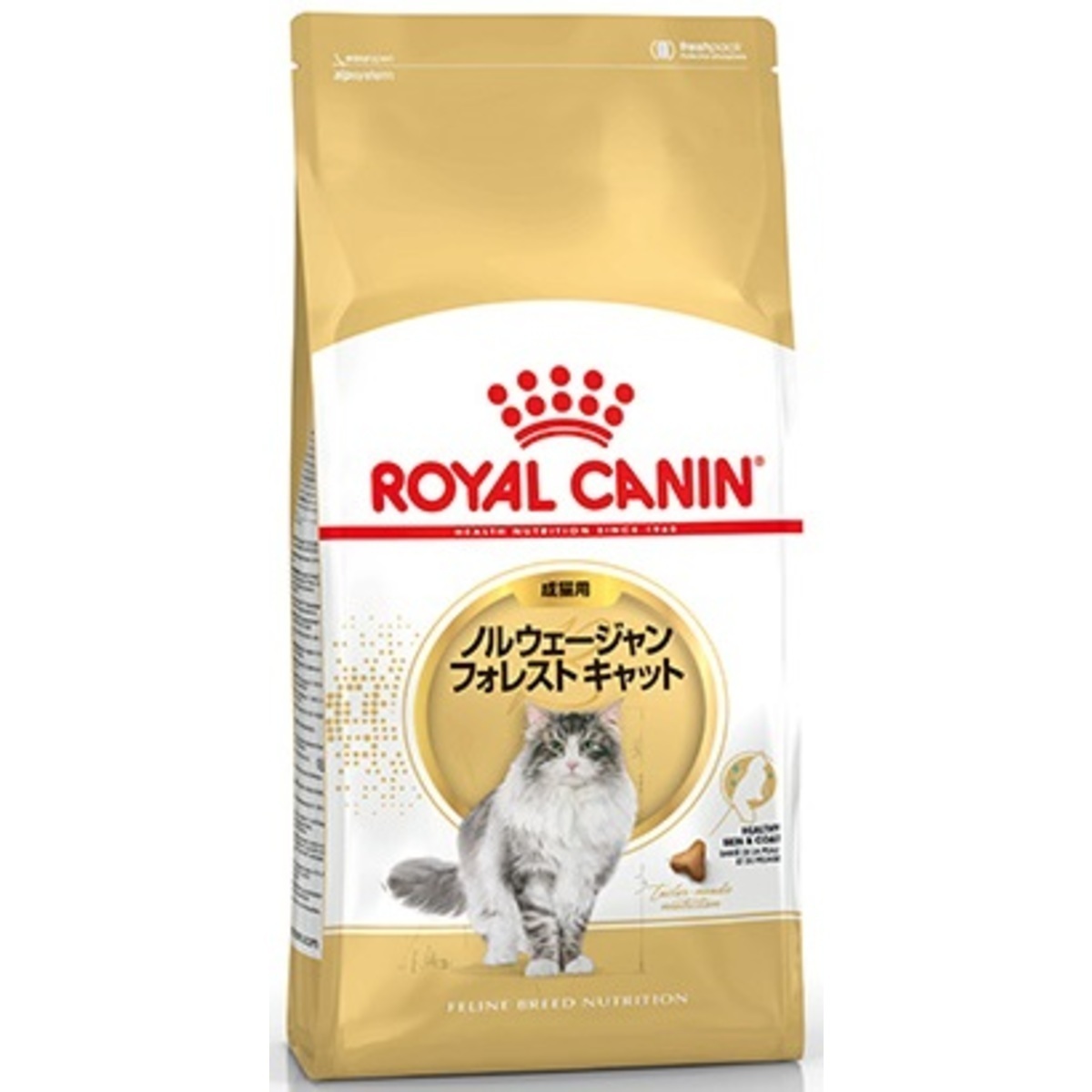  CANIN 毛玉が気になる成猫用 2kg 楽天市場】ロイヤルカナン 猫 ヘアボールケア 毛玉が気になる成