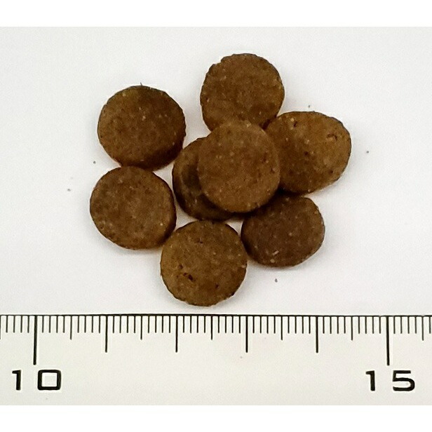 店内全品送料無料 ソリッドゴールド バックワイルド グレインフリー ベニソン ポテト ベニソン ポテト カボチャ 犬用 10 kg 送料無料 トムキャット店