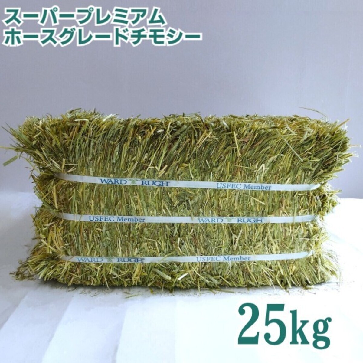 今季注目  【MFABABSK7C5】 限定デザイン