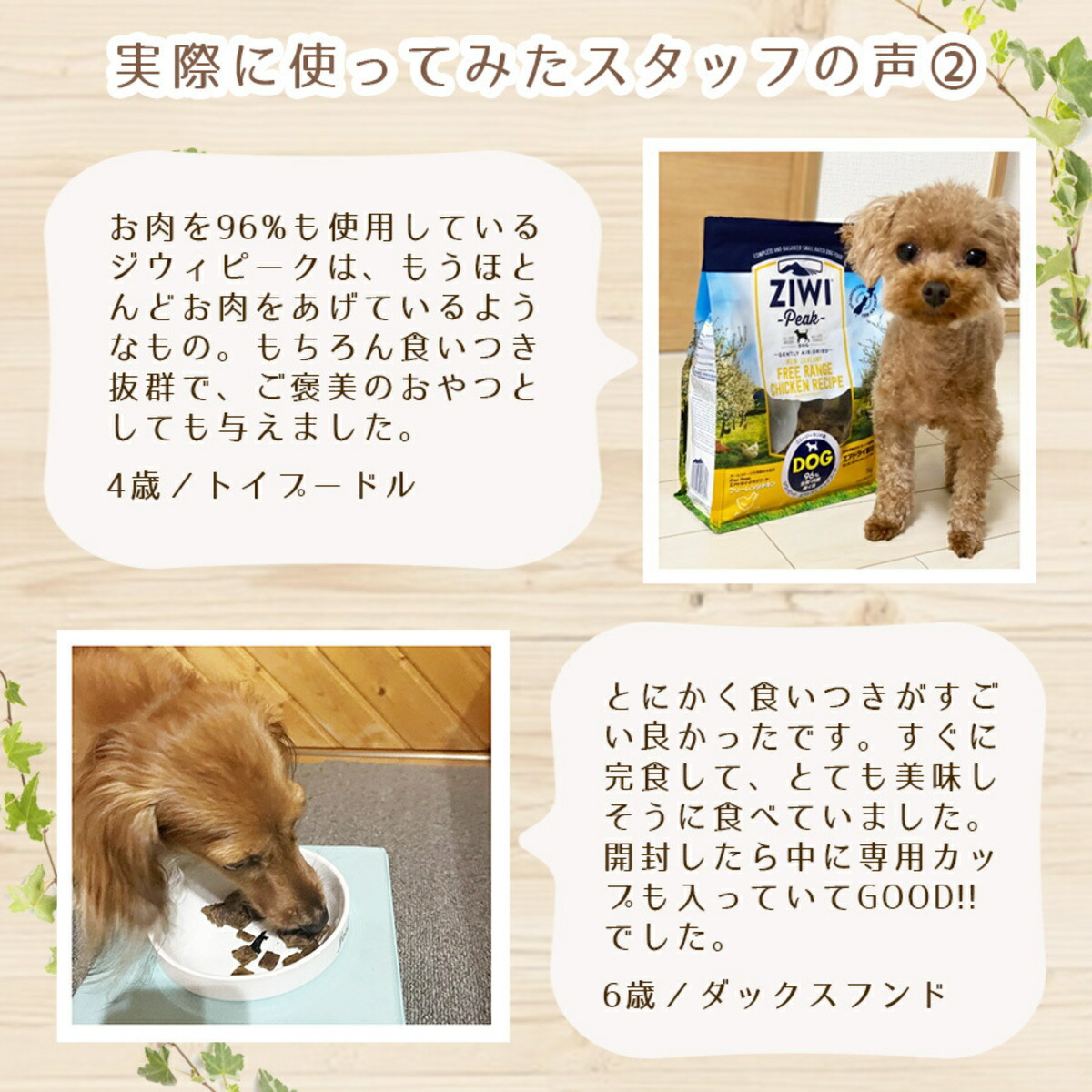 ジウィピーク ( ZIWI Peak ) 缶詰 ビーフ ( 犬用 ) 390g×12缶