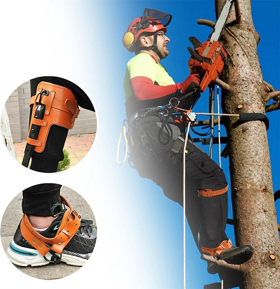 木登り naagpej1uoiybai0p6e6.jpg