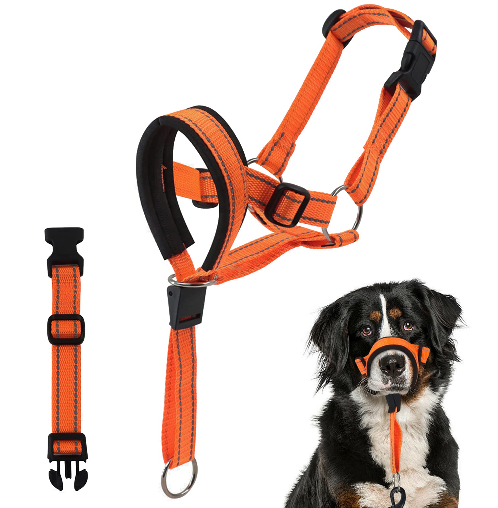 楽天市場】【555円クーポン配信中】ドッグトラ Dogtra しつけ用