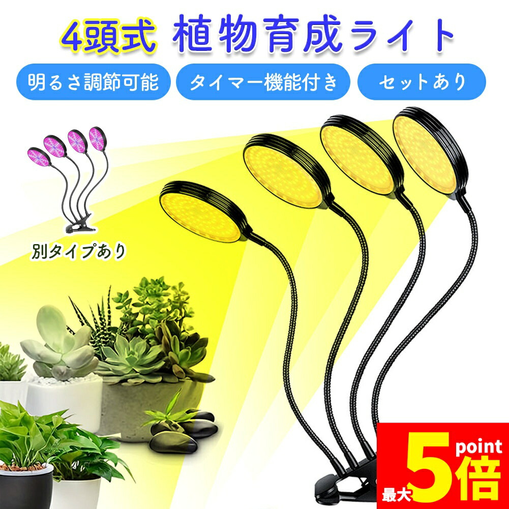 楽天市場】＼10%OFFクーポンあり／ ホワイト ブラックから選べる 観葉