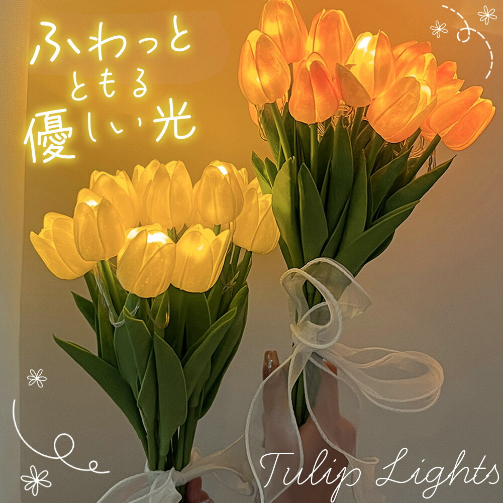 楽天市場】タイマー機能付き LEDライト ドームケース入り 胡蝶蘭ドーム