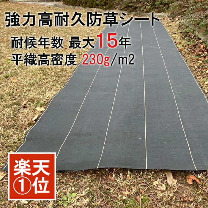 imgrc0122678002.jpg