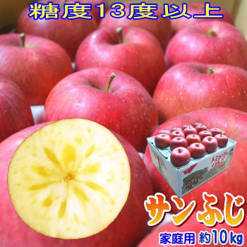 糖度13度以上！長野県産 サンふじ Cランク（家庭用）約10kg（24-36玉）訳あり（キズ、色ムラなど）大玉、中玉選べます！光センサー選果！【ラッキーシール対応】【産地直送】信州りんご！林檎！