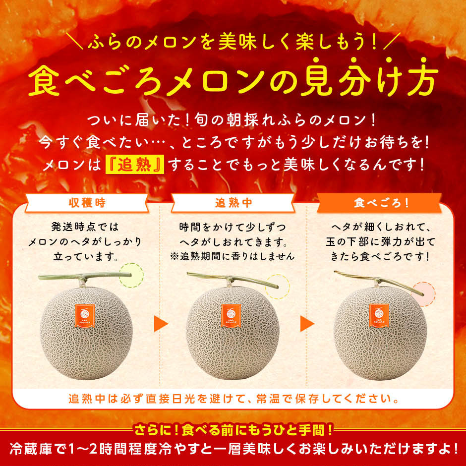 メロン 富良野メロン 1玉 約2.0kg XLサイズ 秀品 贈答用【糖度15
