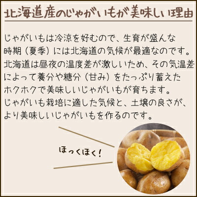 インカのめざめ2kgM・S混みサイズ