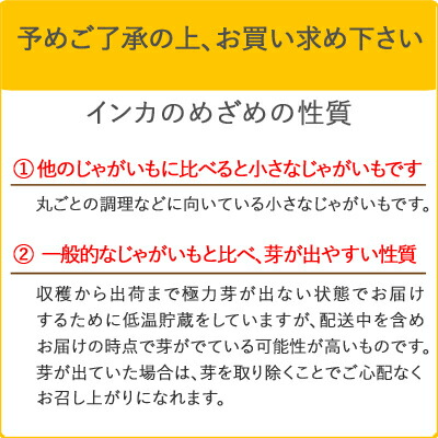 インカのめざめ2kgM・S混みサイズ