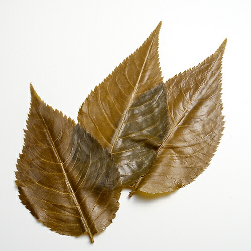 Tomiz Cuoca 富澤デポー クオカ 桜樹葉の塩漬 伊豆産する 500枚 全盛 葉 薬草 竹皮 経木 桜の花 桜の葉 Maxani Nl