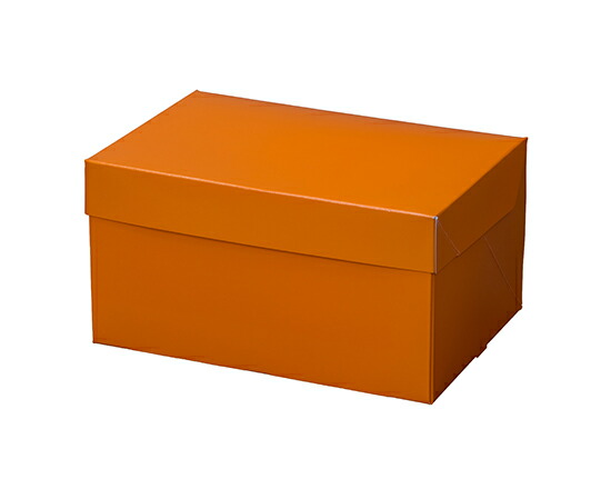 【ポイント5倍 4月20日限定】PC-color オレンジ 3号 / 50枚【 取り寄せ 】【 富澤商店 公式 】